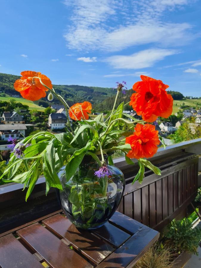 Panoramablick Willingen Schwalefeld Willingen (Upland) Exterior foto