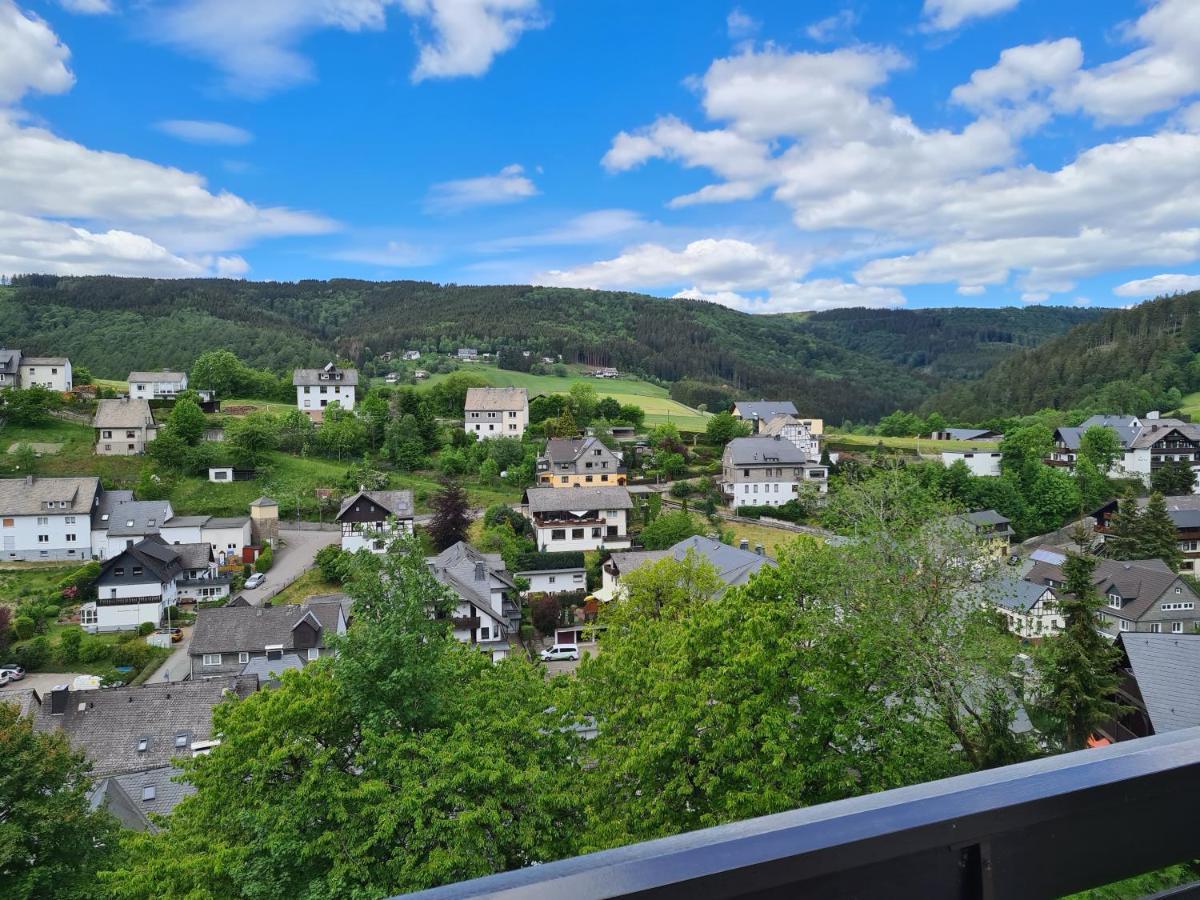 Panoramablick Willingen Schwalefeld Willingen (Upland) Exterior foto